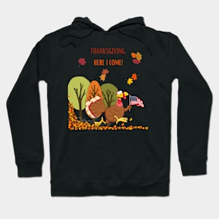 Thanksgiving, here i come funny! Hoodie